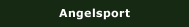 Angelsport