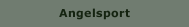 Angelsport
